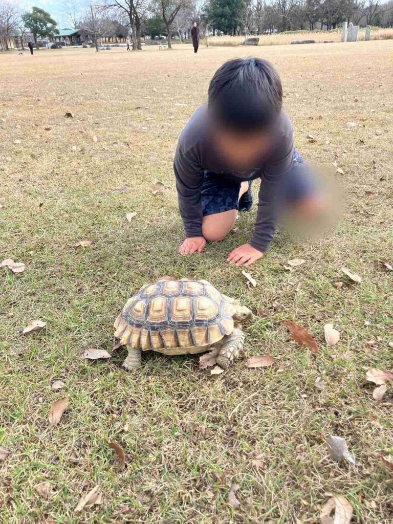 個別に対応する様子